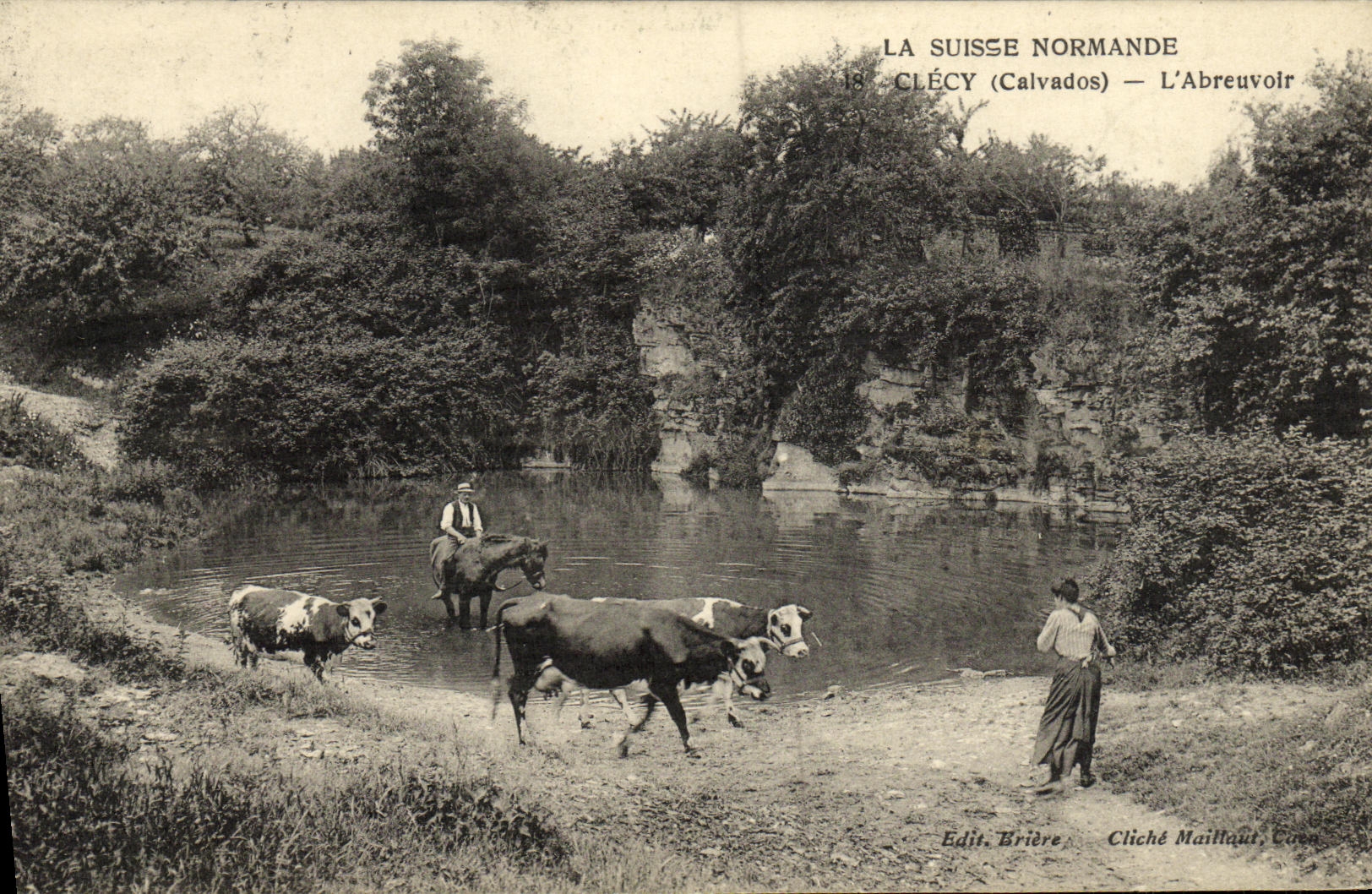 CPA La Suisse Normande Clecy L Abreuvoir Vaches