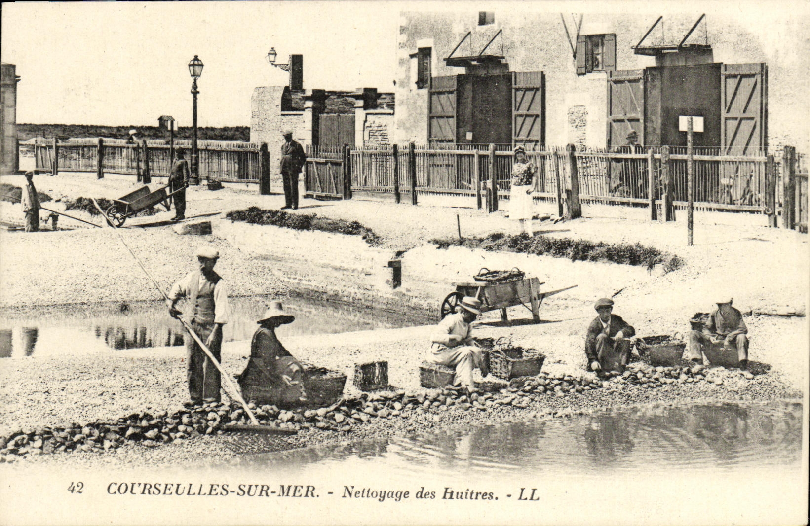CPA Courseulles Sur Mer Nettoyage des Huitres TOP