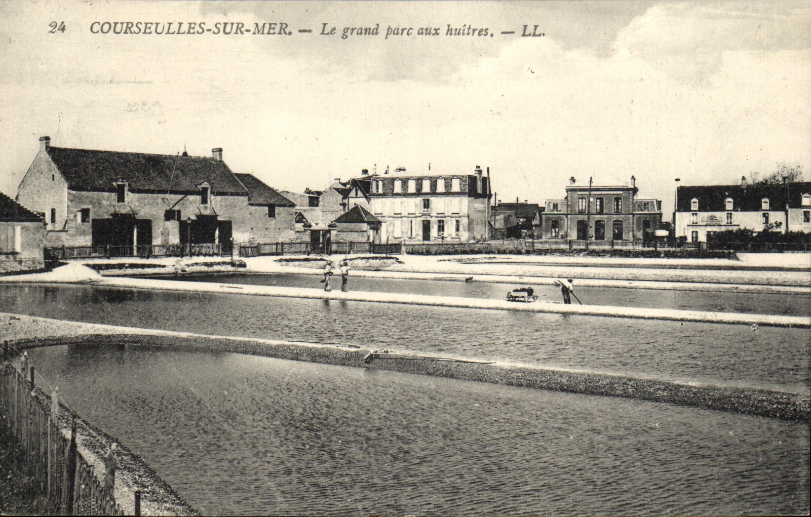VINTAGE POSTCARD Courseulles On Sea the Large Park With oysters