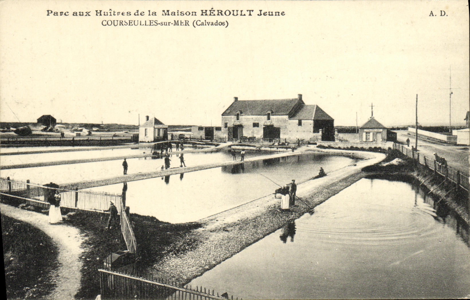 CPA Courseulles Parc aux huitres de la msion Heroult Jeune 