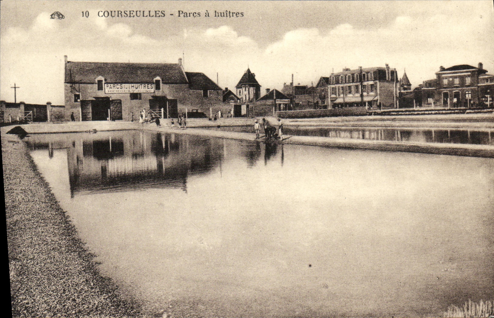 VINTAGE POSTCARD Courseulles Oyster beds
