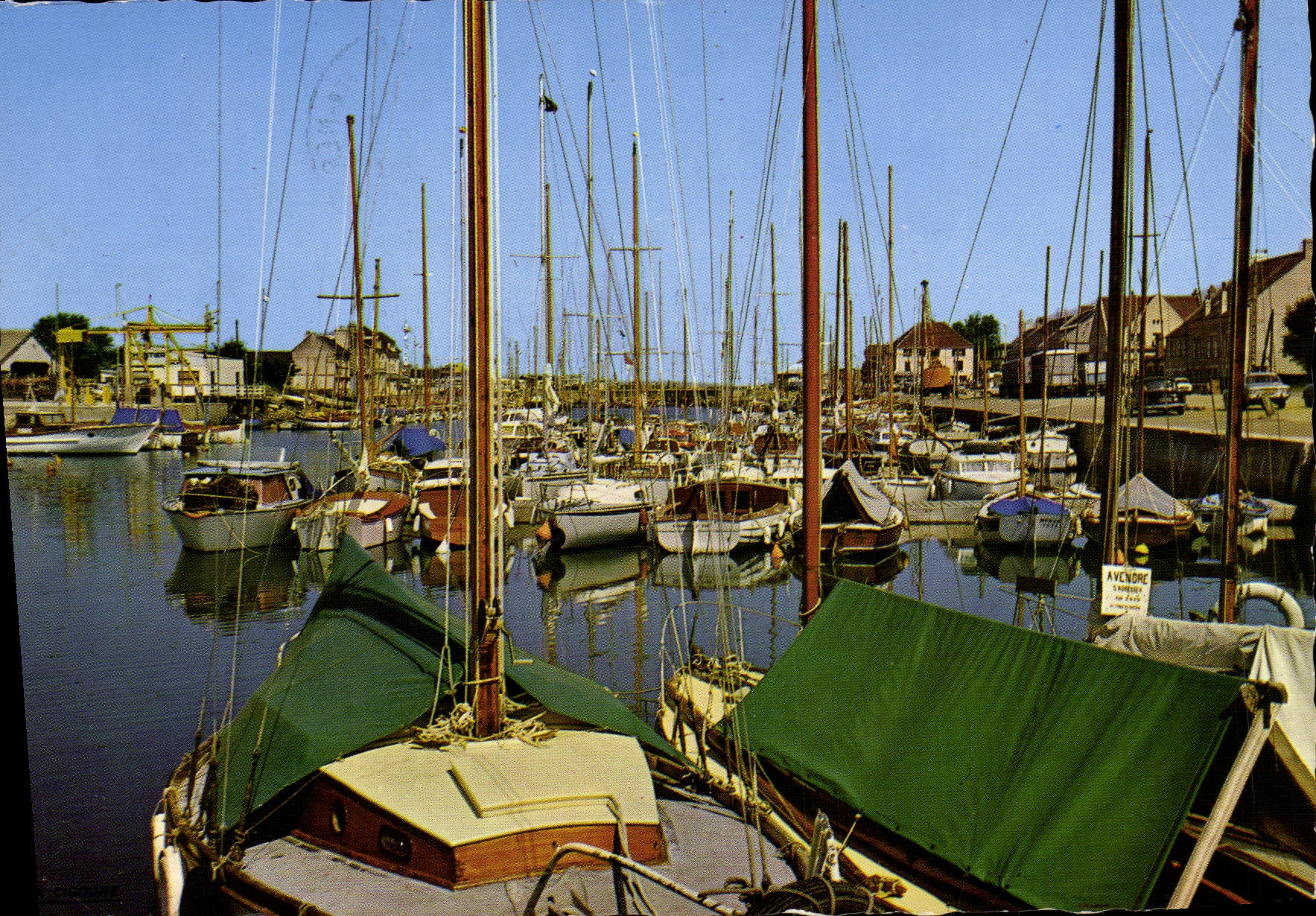 MODERN CARD Courseulles On Sea the port