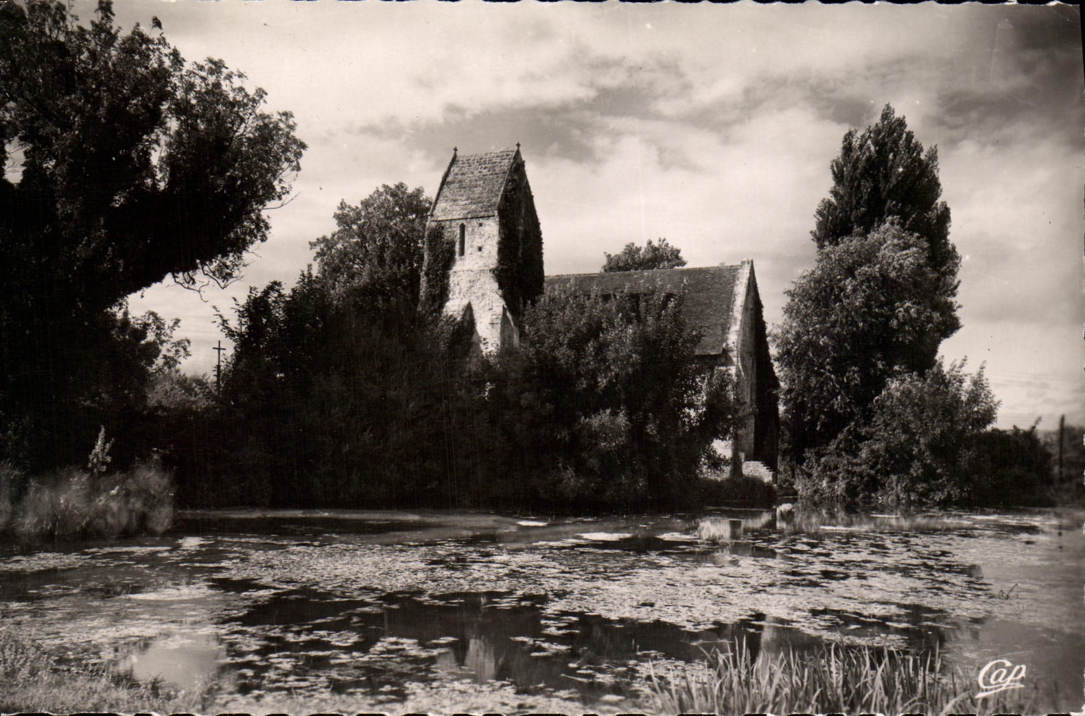 MODERN CARD Surroundings D Honfleur L Cricqueboeuf Church