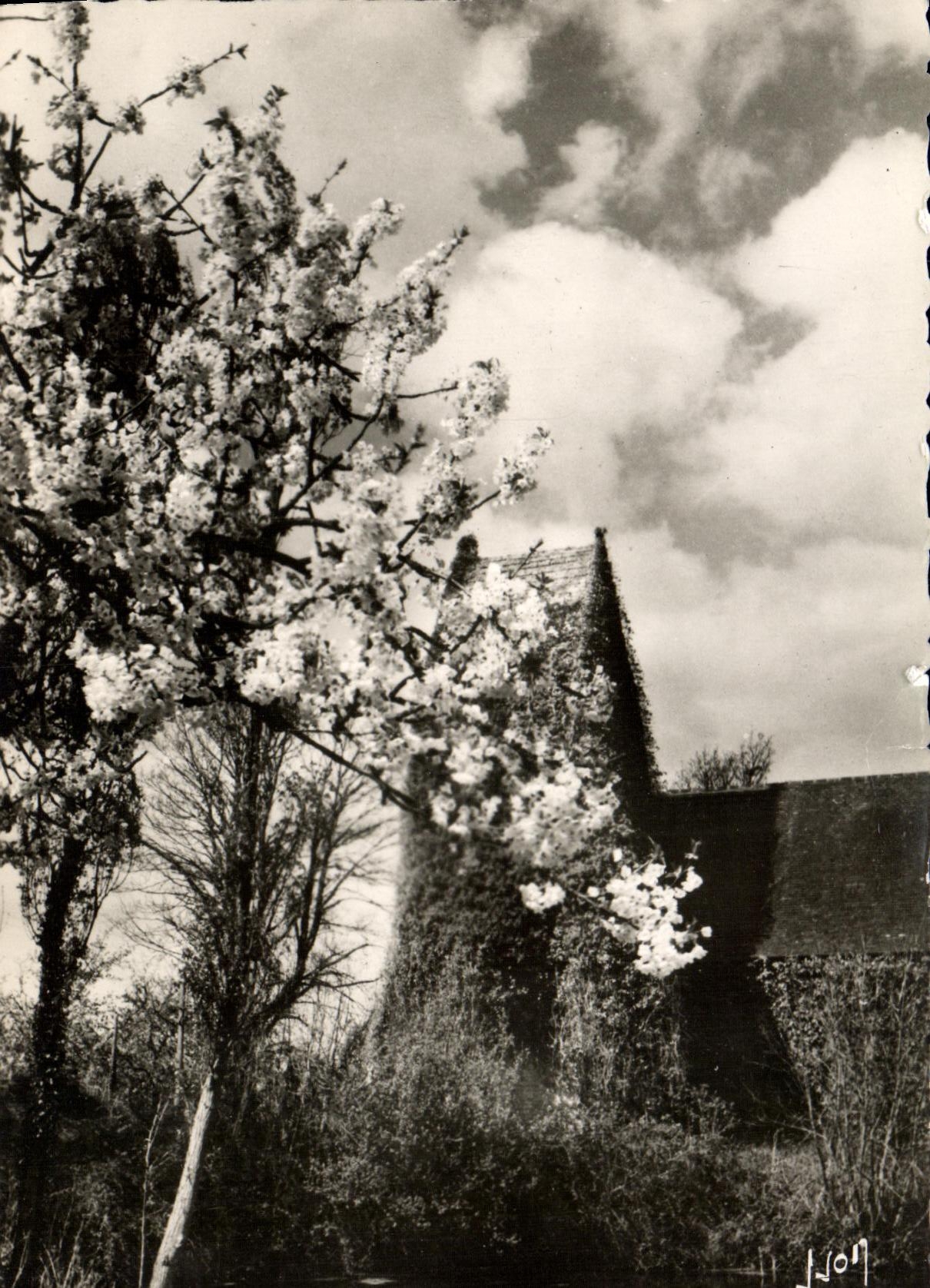 MODERN CARD As a Norman the Old Church of Cricqueboeuf in spring