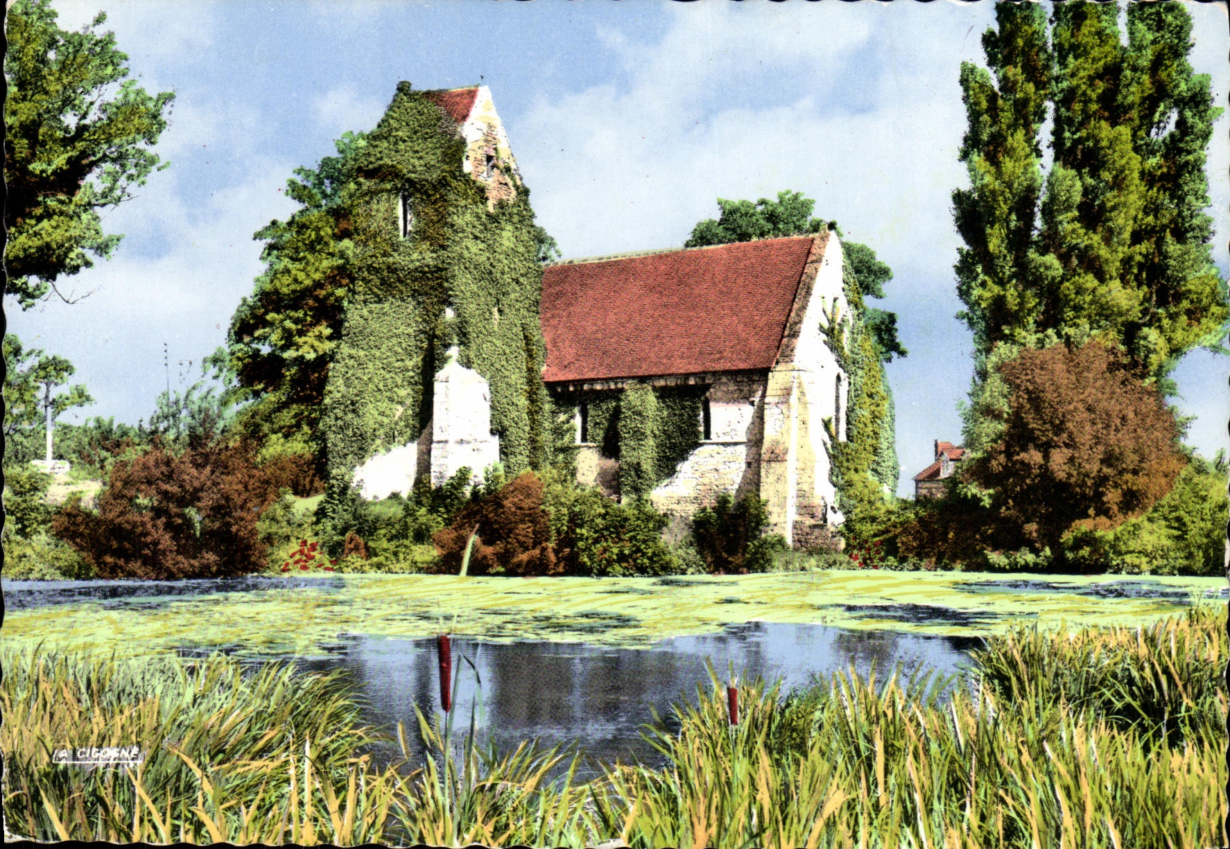 MODERN CARD Cricqueboeuf the picturesque covered church of ivy