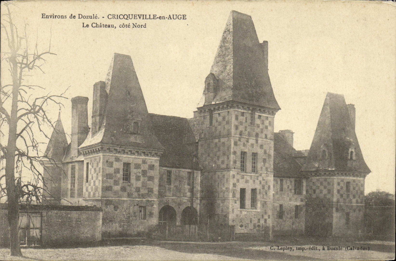 VINTAGE POSTCARD Environs of Dozule Cricqueville out of Trough the Castle dimensions Northern