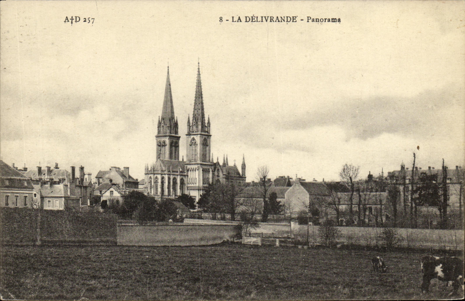 VINTAGE POSTCARD Delivrande Panorama Cows