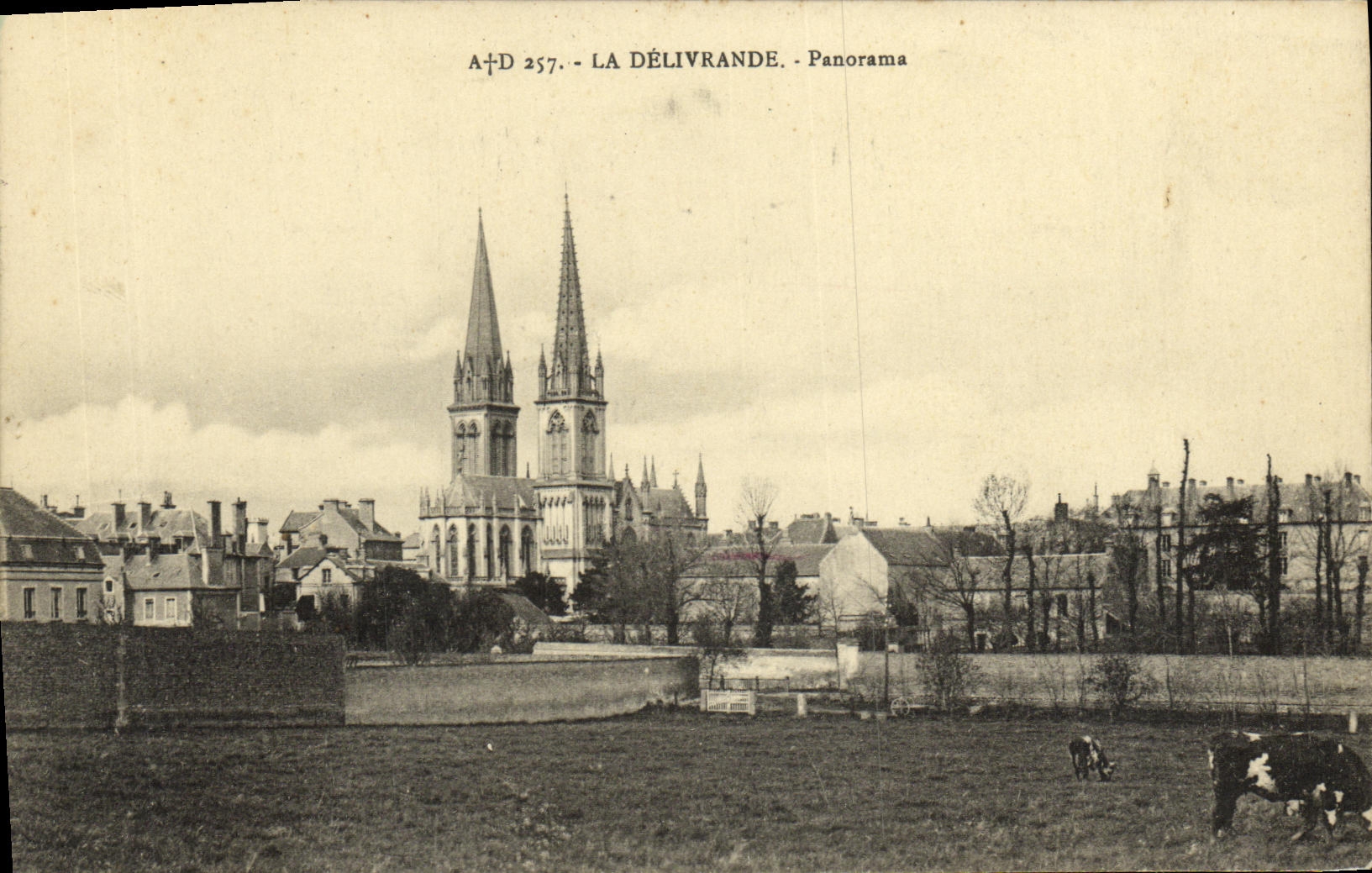 CPA La Delivrande Panorama Vaches