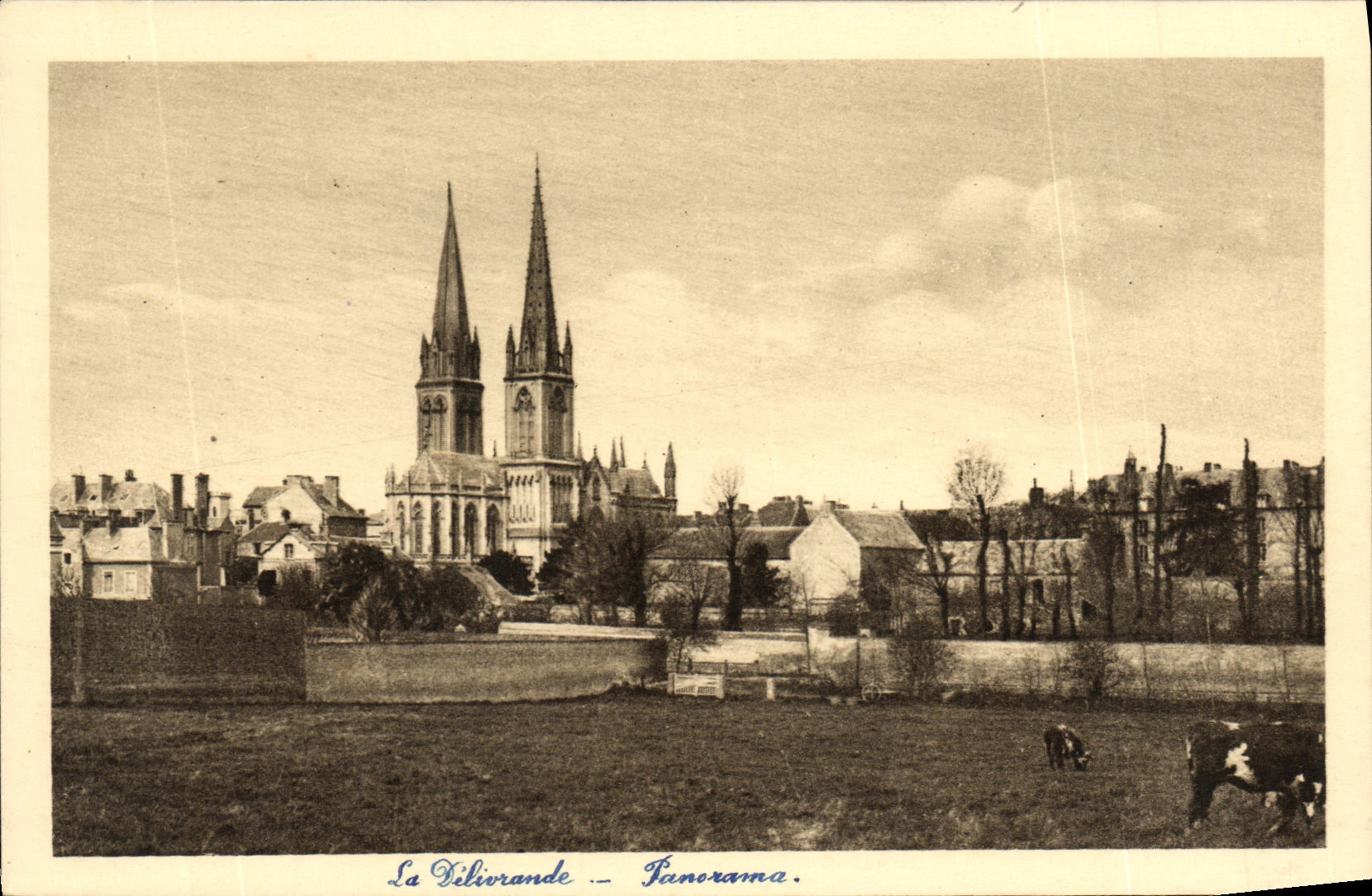 CPA La Delivrande Panorama Vaches