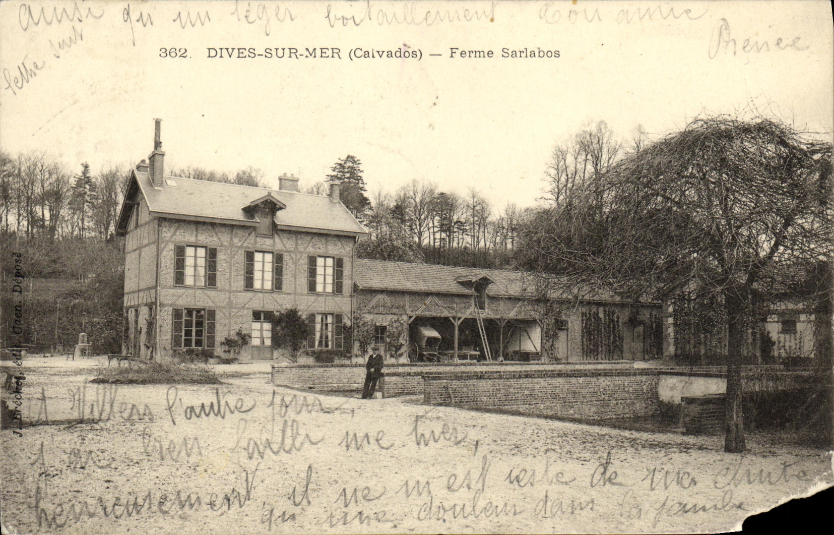 Vista divina de la POSTAL de la VENDIMIA en la granja de Sarlabot