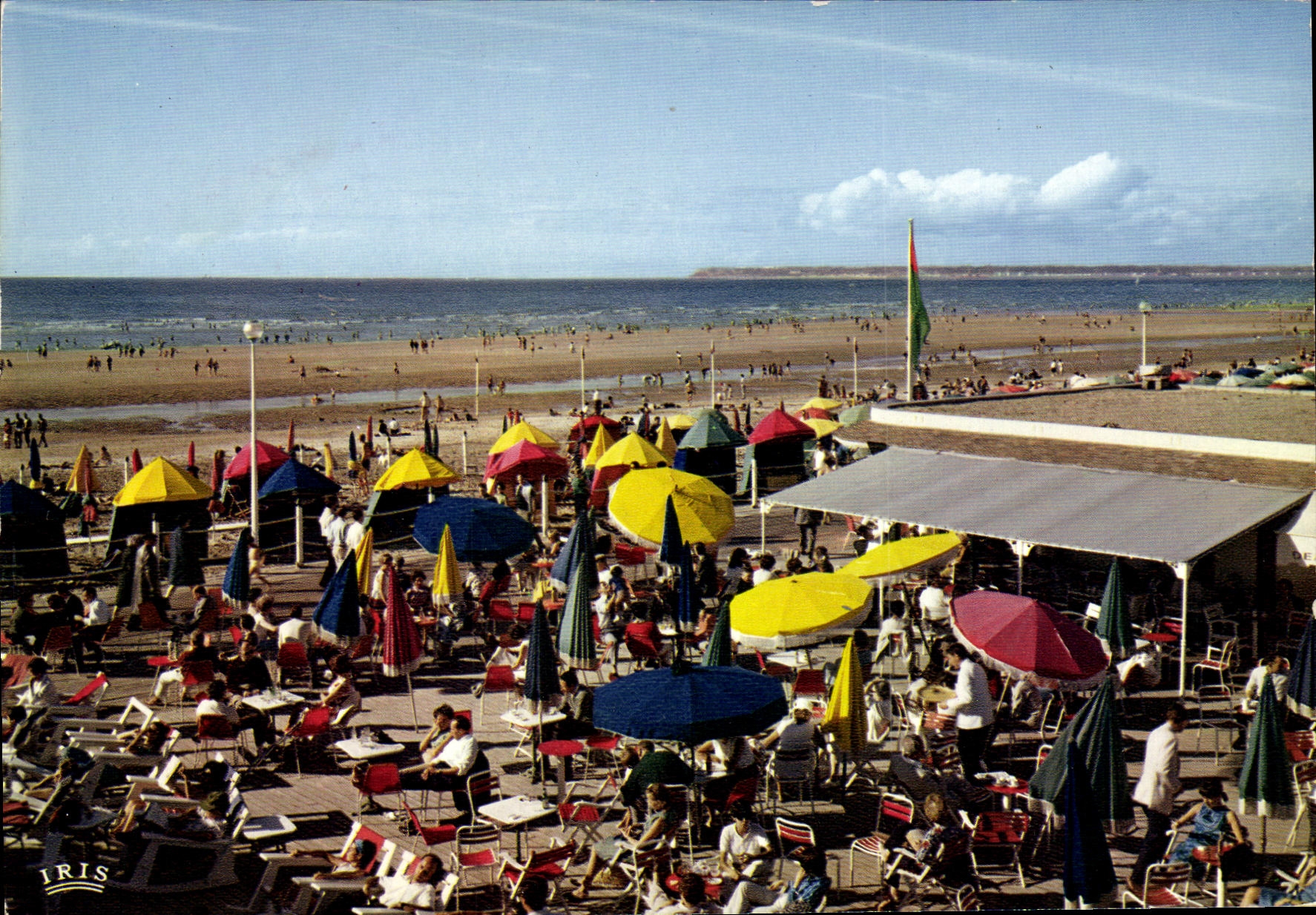 MODERN CARD Deauville Flowered Beach the Bar of the Sun and the beach