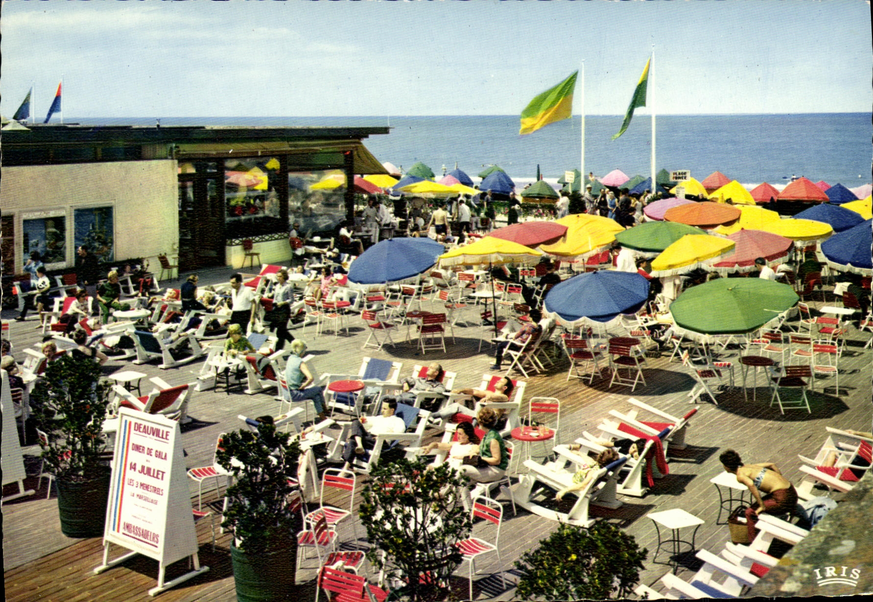 MODERN CARD Deauville Flowered Beach the Bar of the Sun and Sea