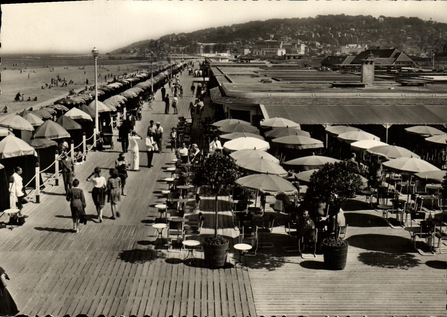 MODERN CARD Deauville Flowered Beach the Flowered beach the bar of the sun and boards