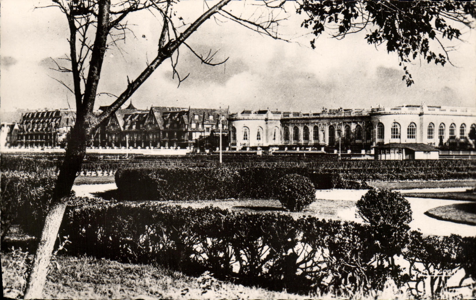 VINTAGE POSTCARD Deauville Flowered Beach the Casino Normandy Hotel