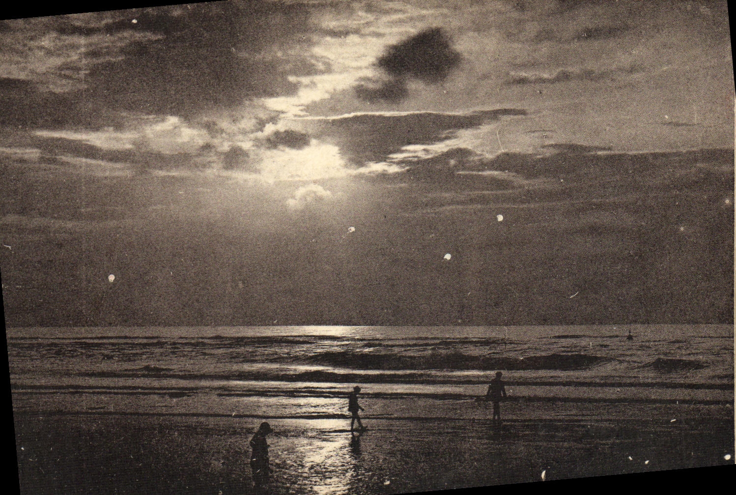 VINTAGE POSTCARD Deauville the Flowered Beach Sunset