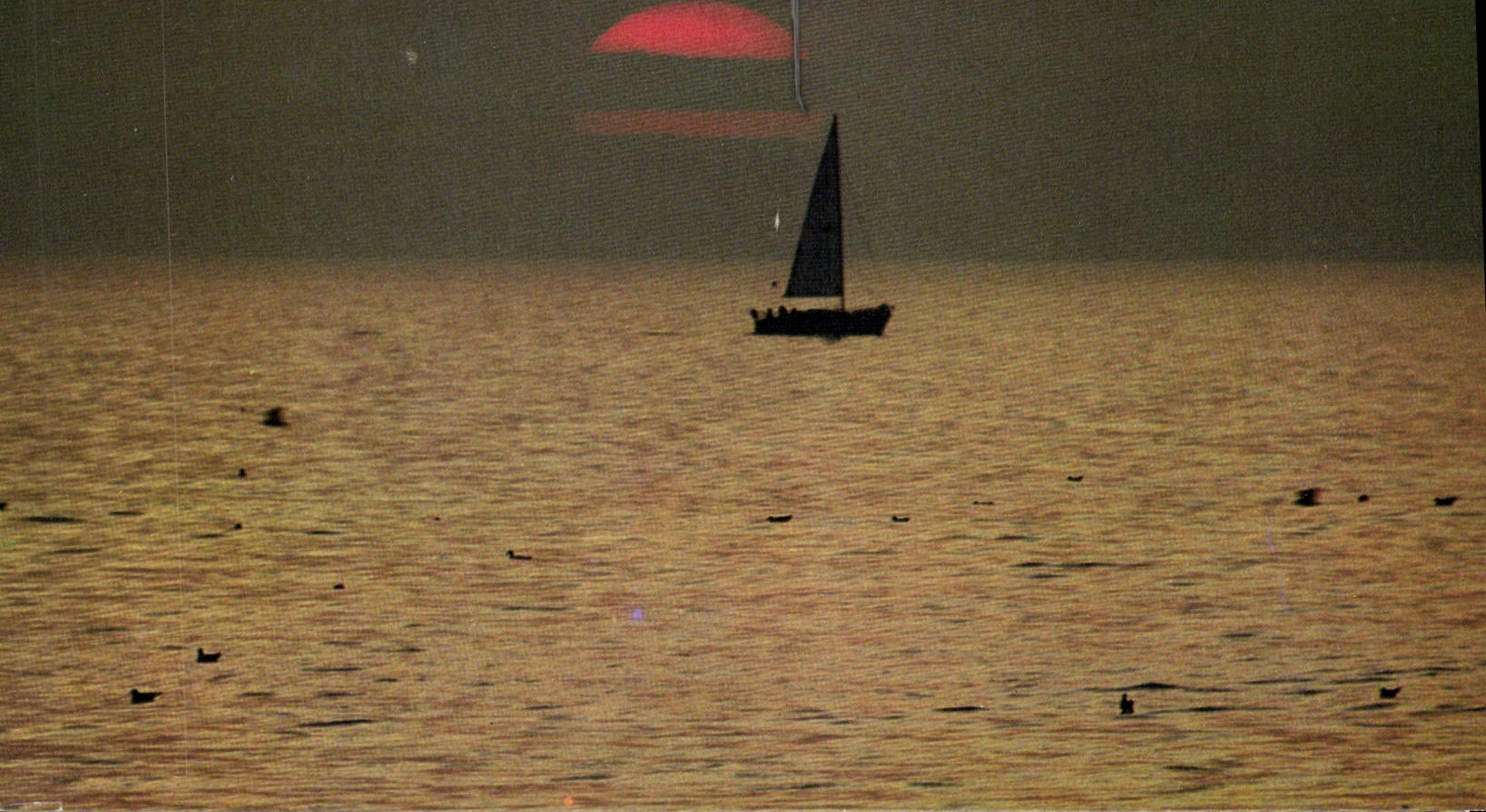 CPM Deauville Coucher de Soleil sur la Mer