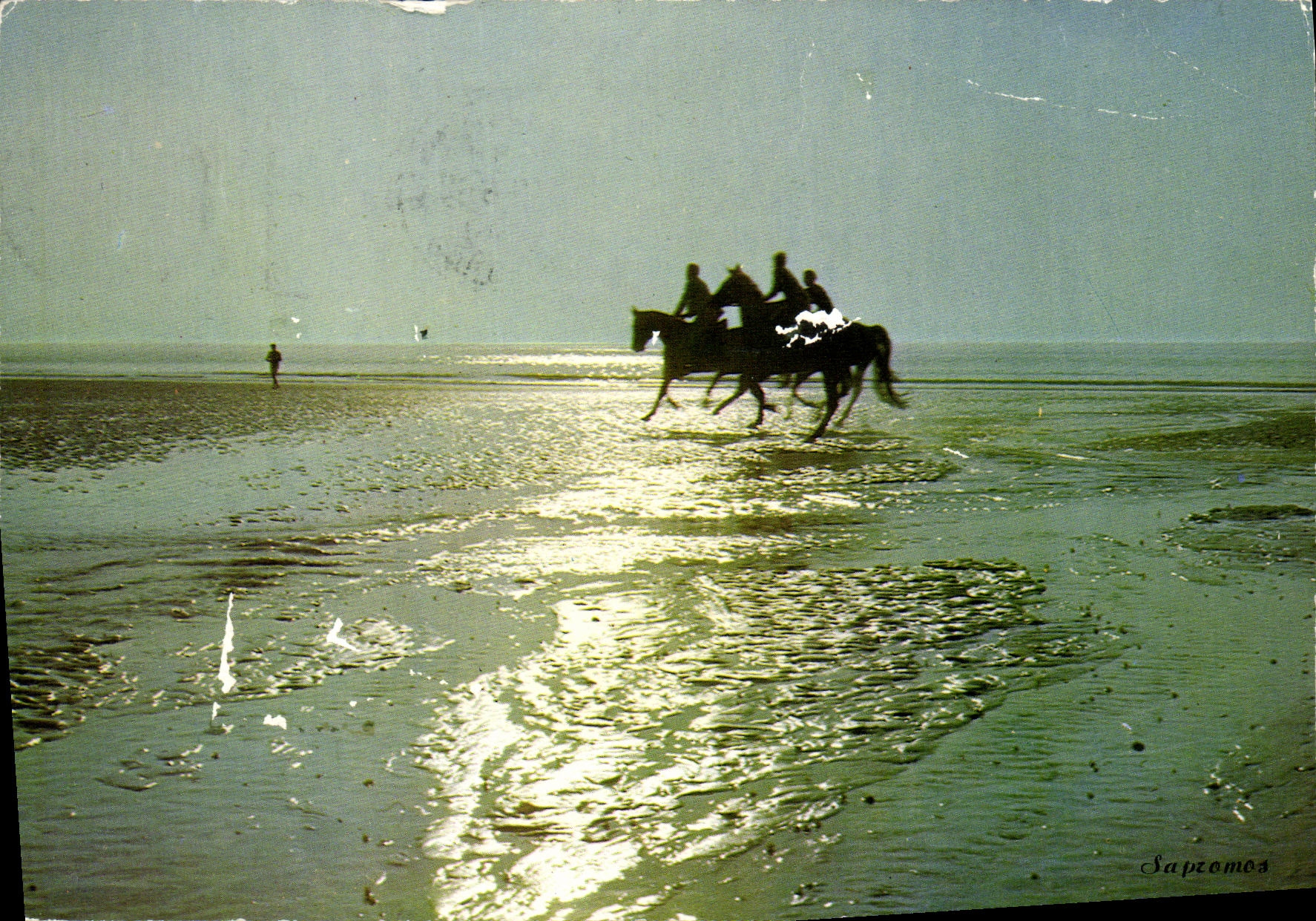 CPM Deauville Cavaliers Effet de contre jour 