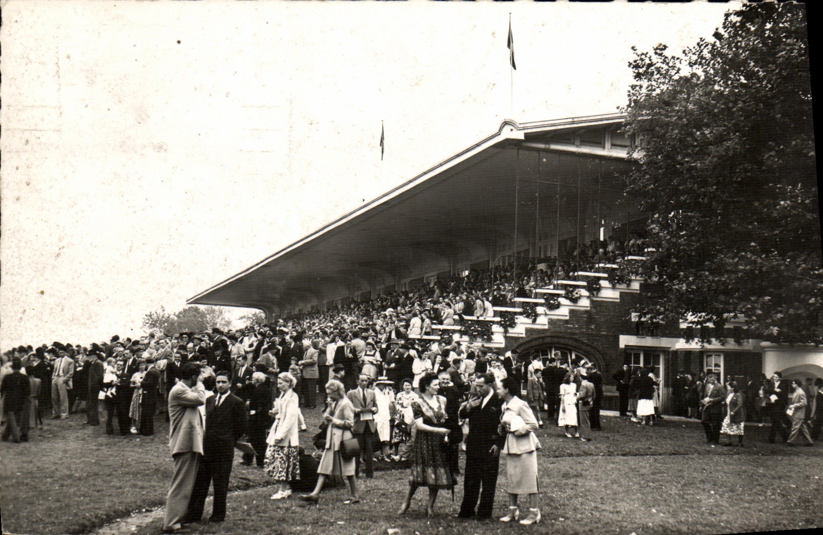 VINTAGE POSTCARD Deauville Weighing Hippisme Horses