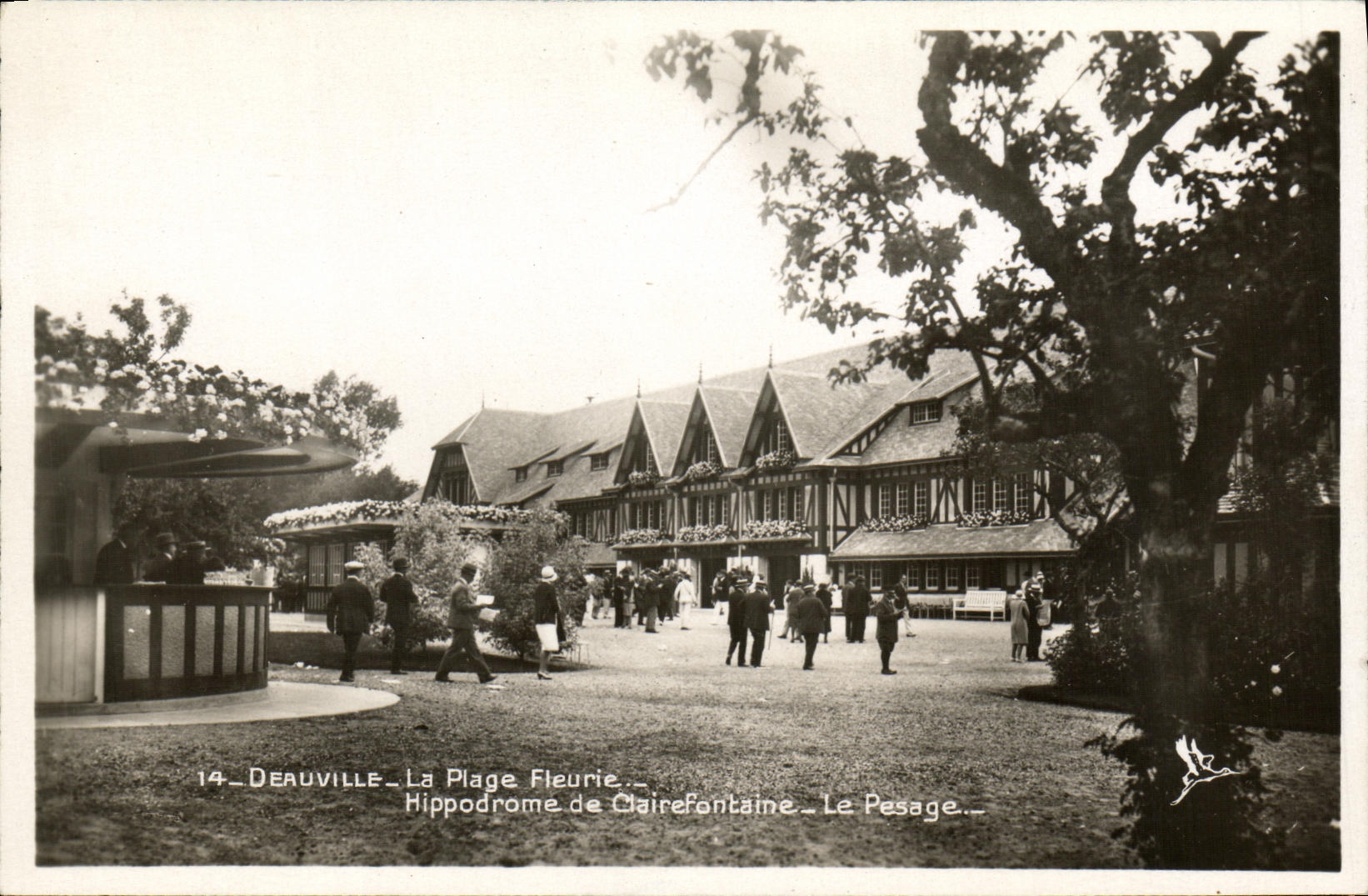 CPA Deauville Plage Fleurie Hippodrome de Clairefontaine Le pesage Hippisme Chevaux