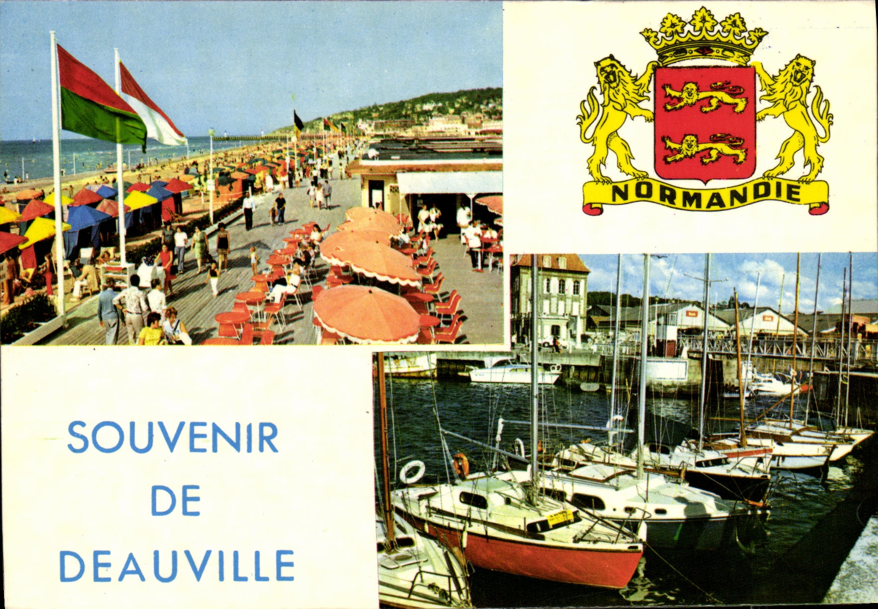 CPM Souvenir de Deauville Les planches Bassin des yachts Lions