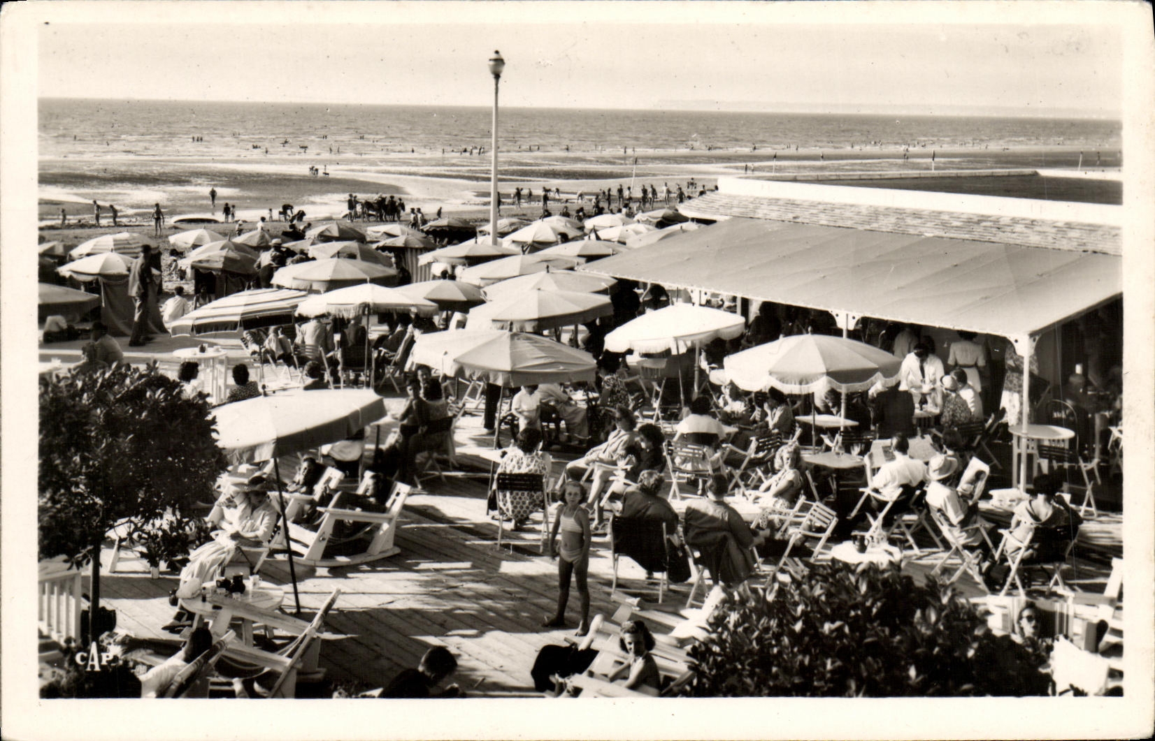 CPM Deauville Plage Fleurie Farniente sur la plage