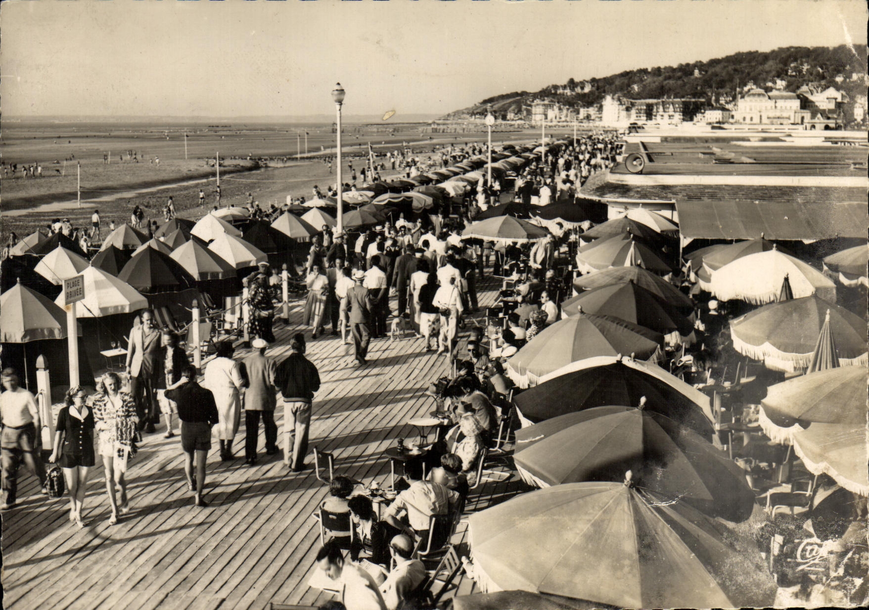 CPM Deauville Plage Fleurie La Plage La Promenade et le Bar du Soleil