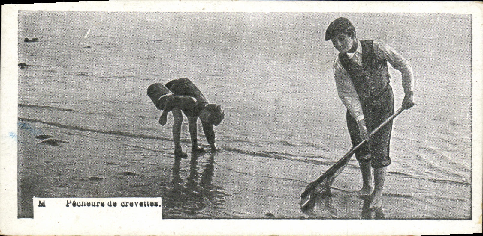El camaron Pecheur de la POSTAL de la VENDIMIA pesca a ninos
