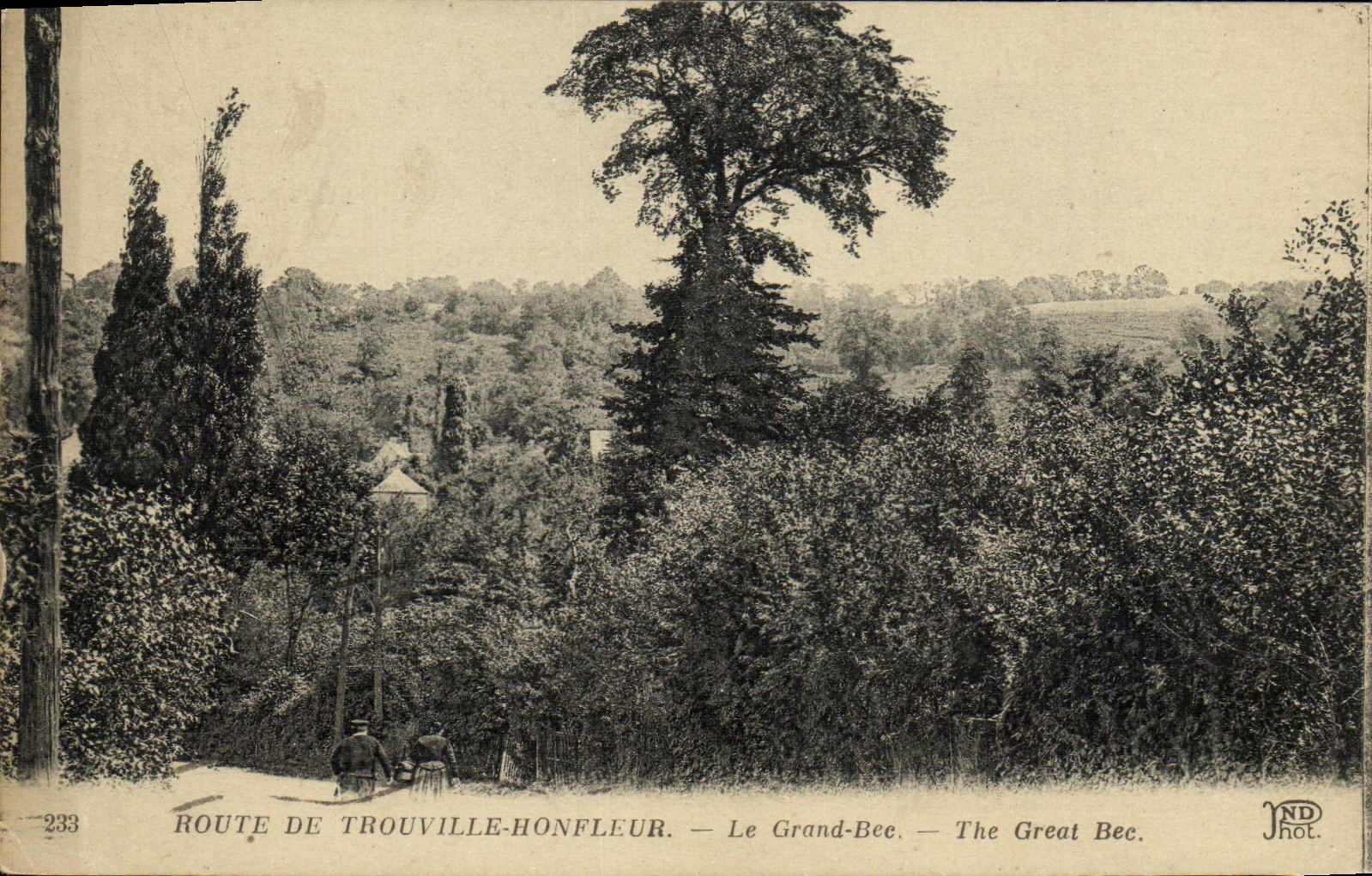 Camino de la POSTAL de la VENDIMIA de Honfleur Trouville el inyector grande