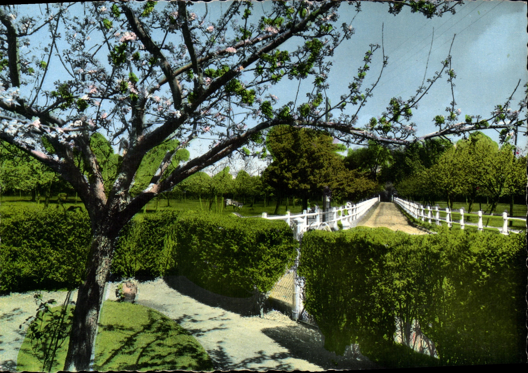 POSTAL MODERNA el hotel firme de Honfleur de la corte grande dimensiona tolerancia