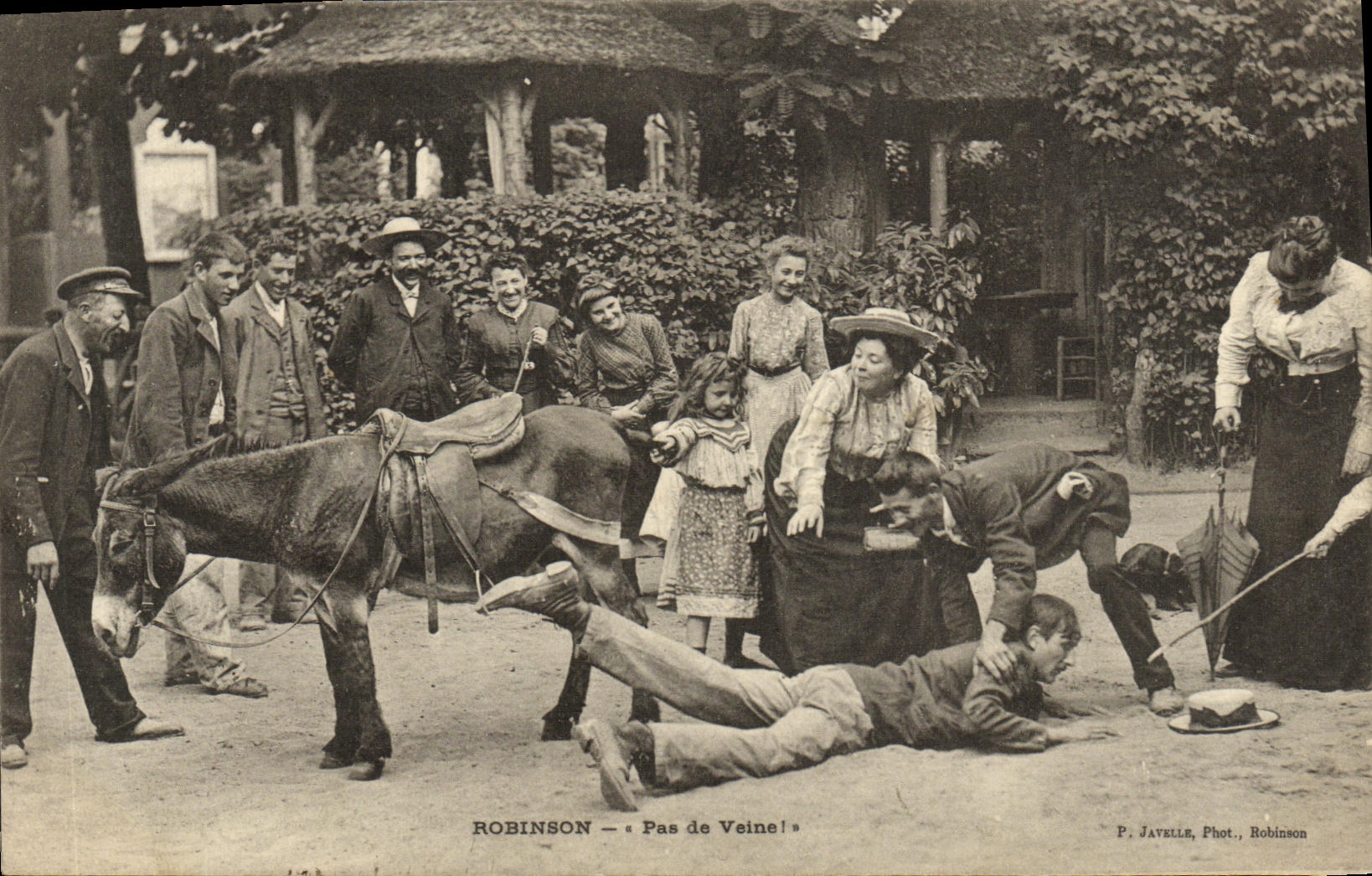 POSTAL Robinson de la VENDIMIA ninguin asno de la vena