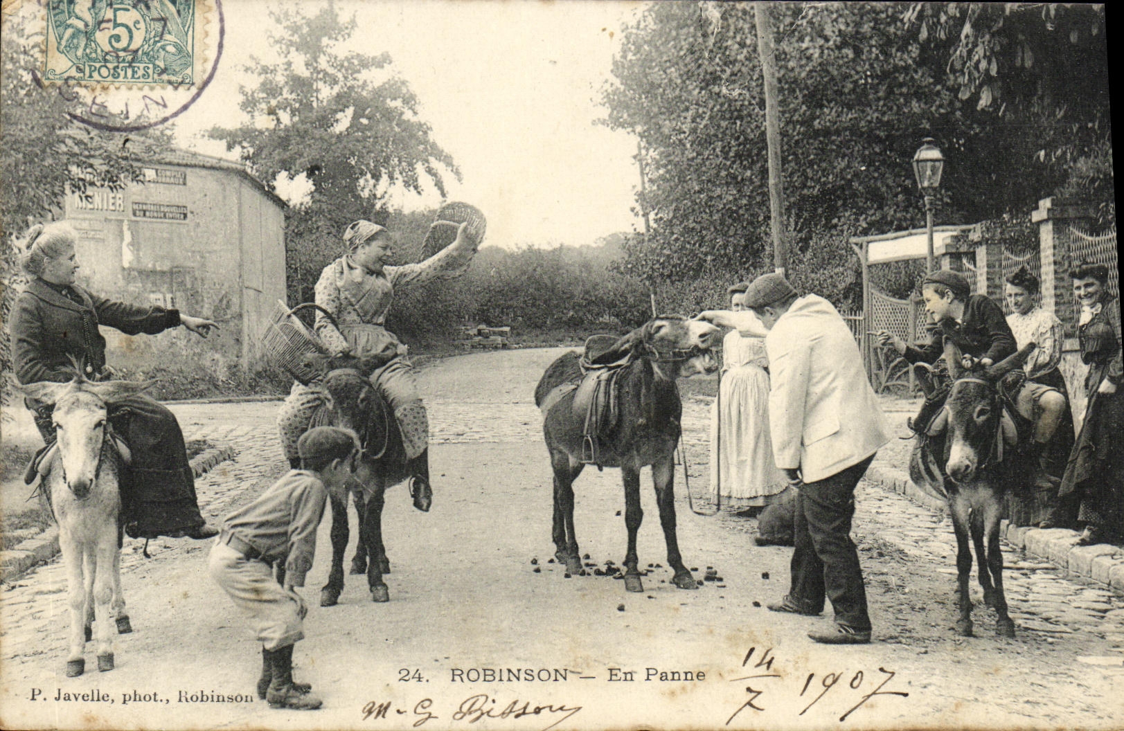 Asnos analizados POSTAL de Robinson de la VENDIMIA