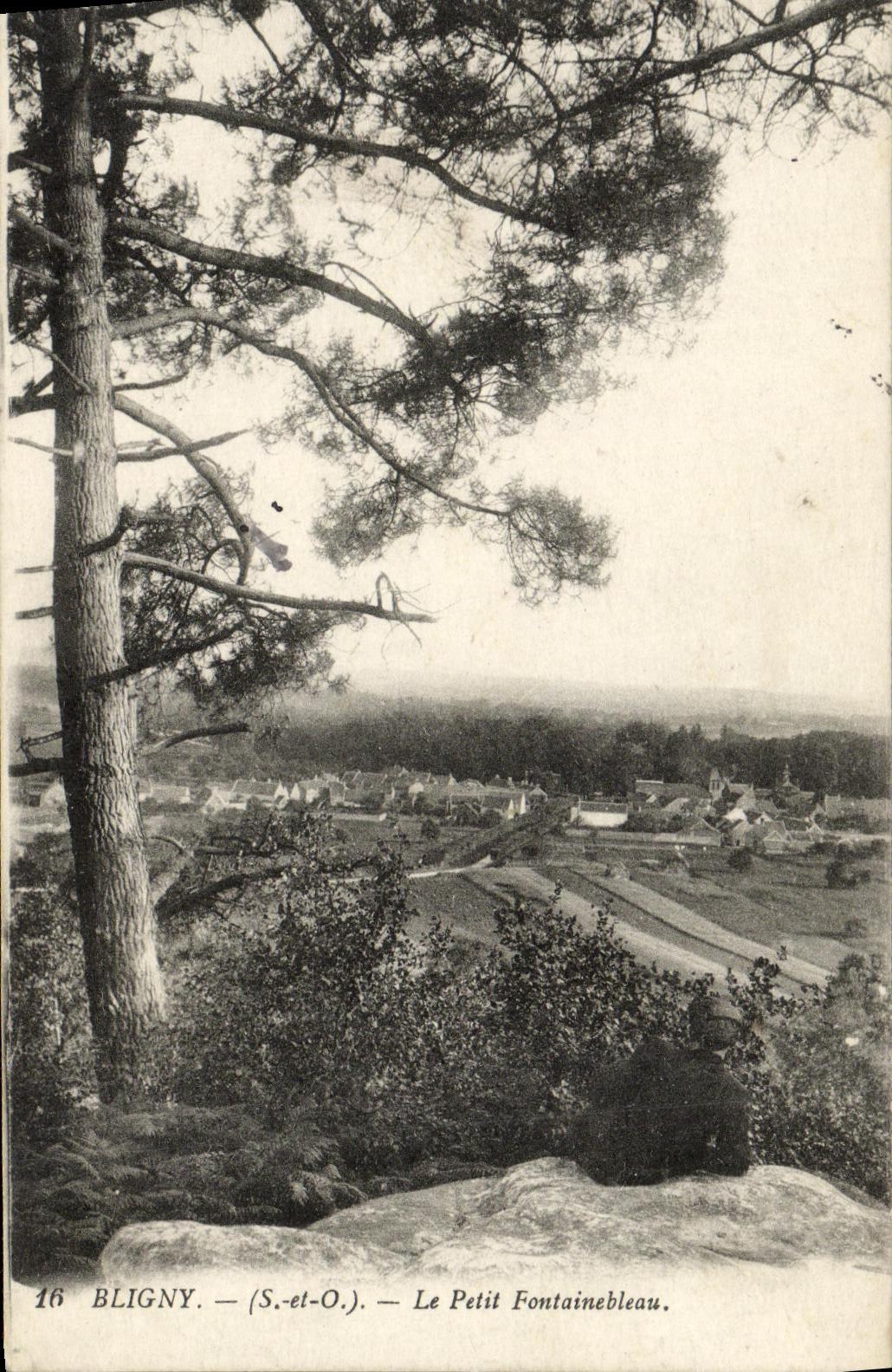 VINTAGE POSTCARD Bligny Small Fontainebleau