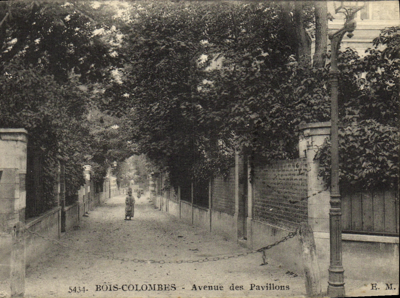 VINTAGE POSTCARD Wood Doves Avenue of the Houses