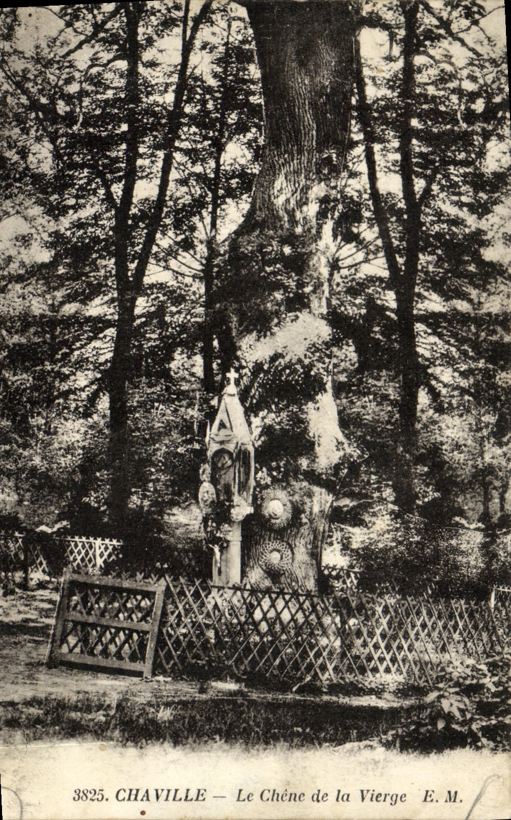 VINTAGE POSTCARD Chaville the Oak of the Virgin