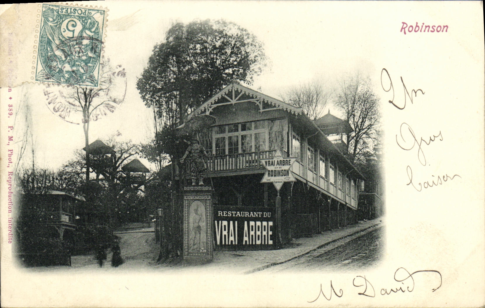 VINTAGE POSTCARD Robinson Restoring With the True Tree