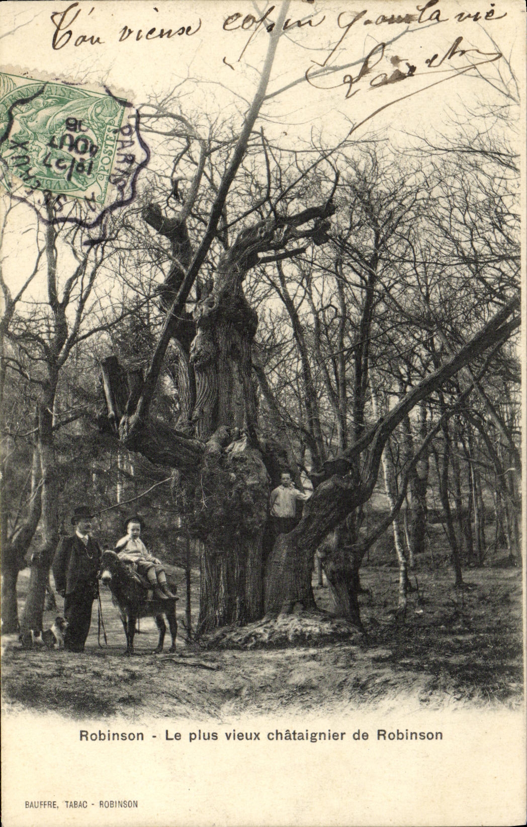 POSTAL Robinson de la VENDIMIA la castana mas vieja de los ninos del asno de Robinson