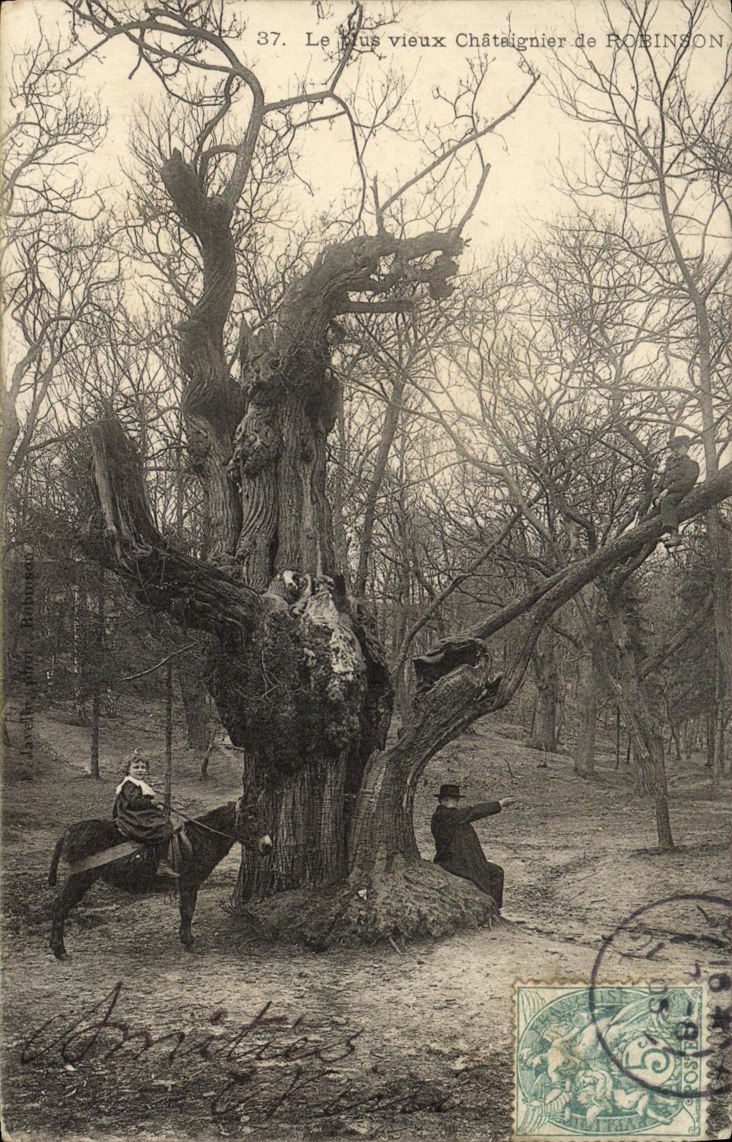 POSTAL de la VENDIMIA la castana mas vieja del asno del nino de Robinson