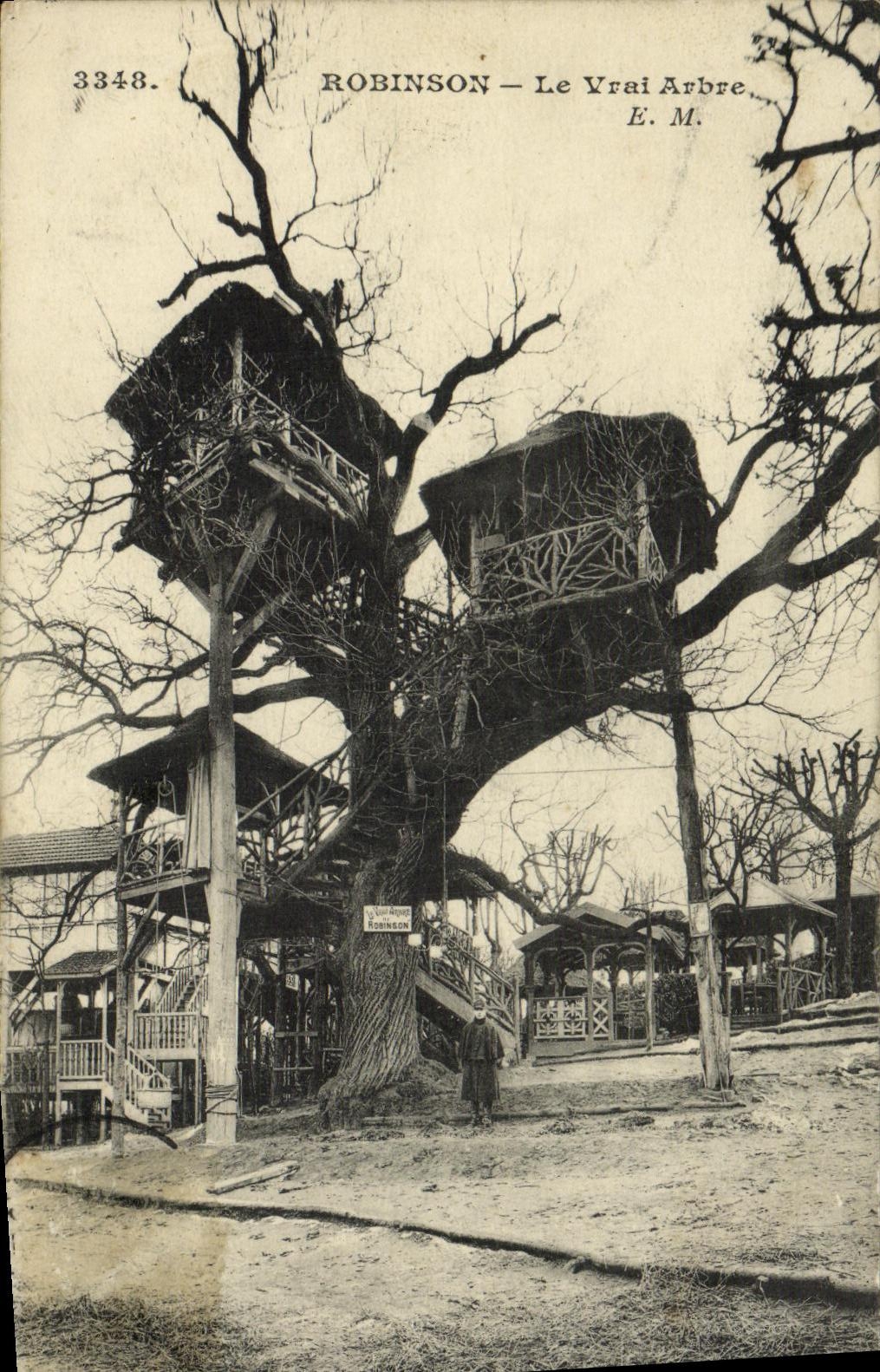 POSTAL Robinson de la VENDIMIA el arbol verdadero