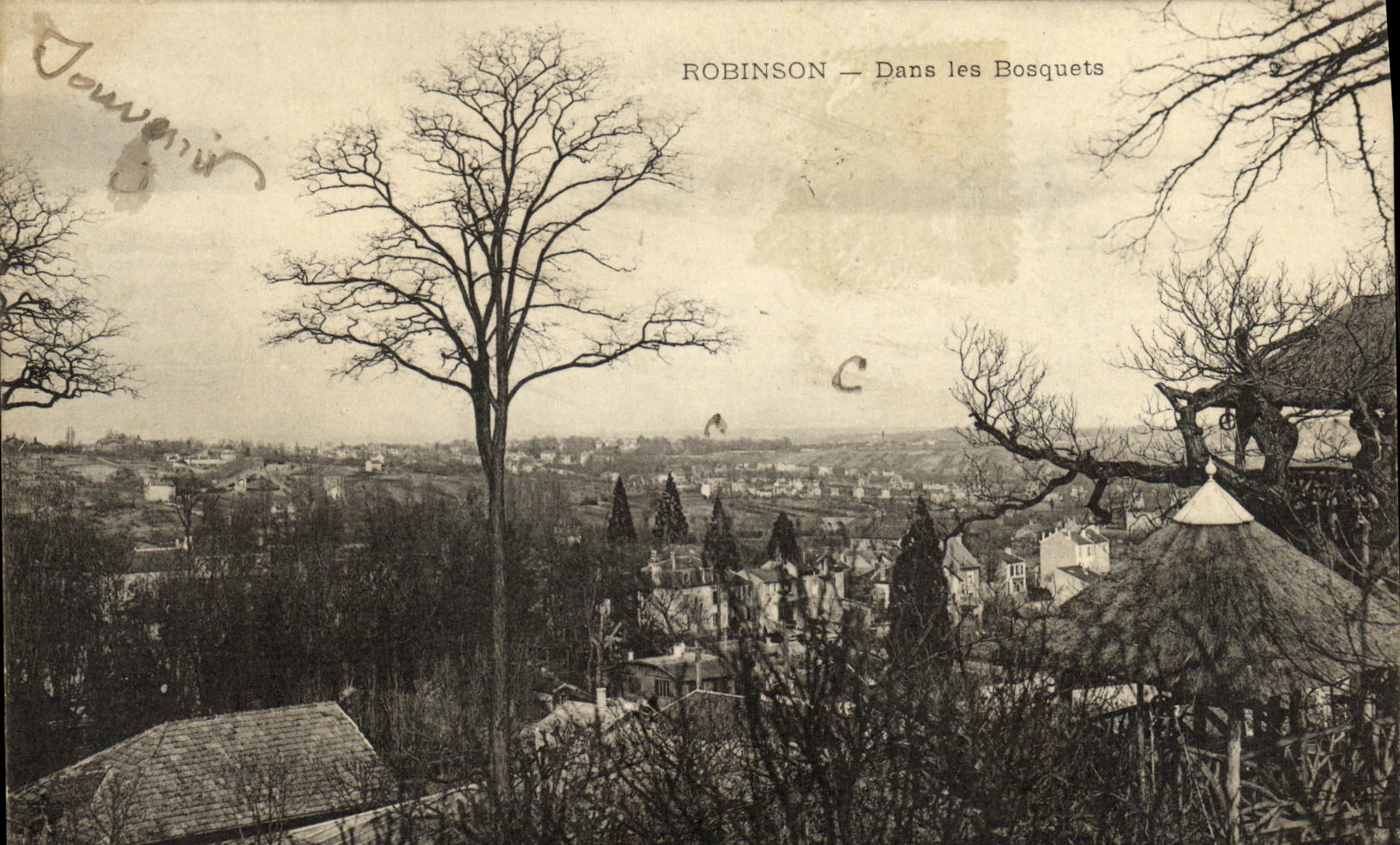 POSTAL Robinson de la VENDIMIA en los matorrales