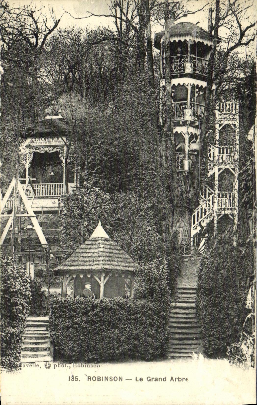 POSTAL Robinson de la VENDIMIA el arbol grande