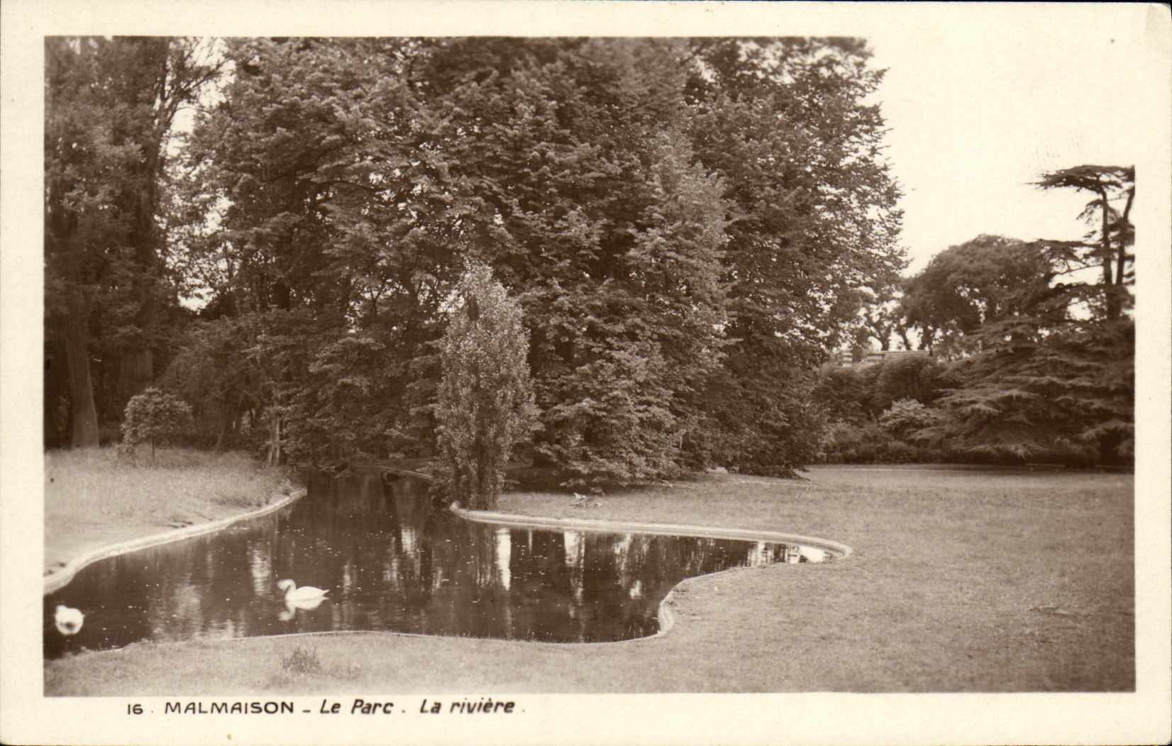 CPA Le Malmaison Le Parc La Riviere