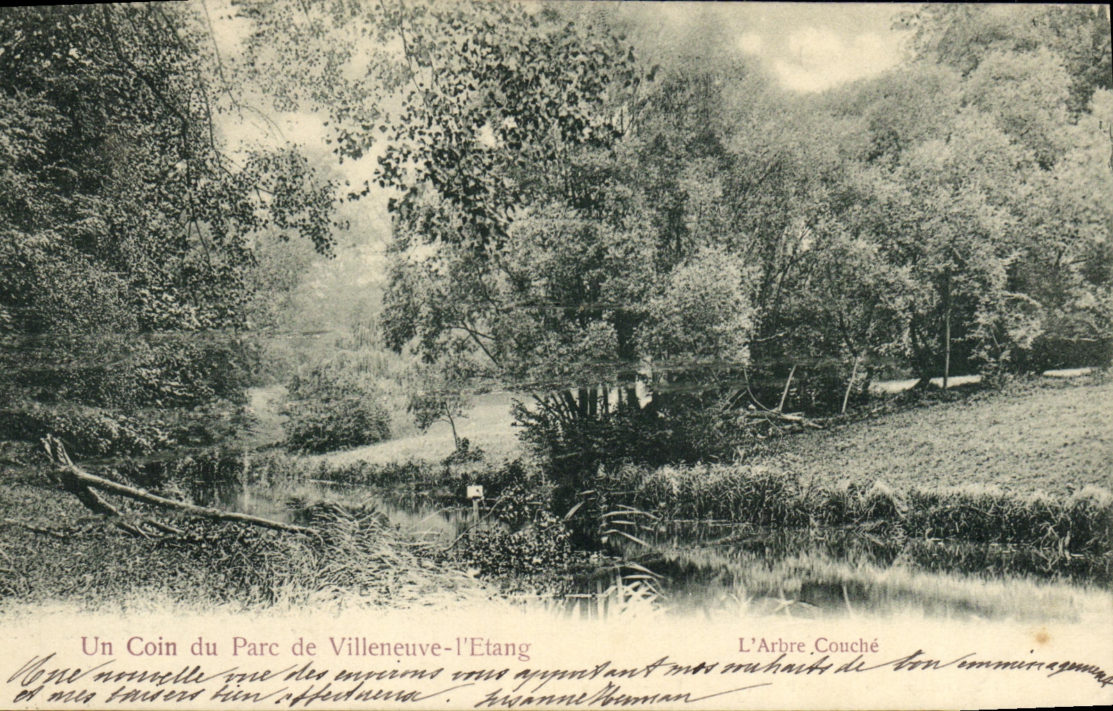 POSTAL de la VENDIMIA una esquina del parque de Villeneuve L Etang L suenos del arbol