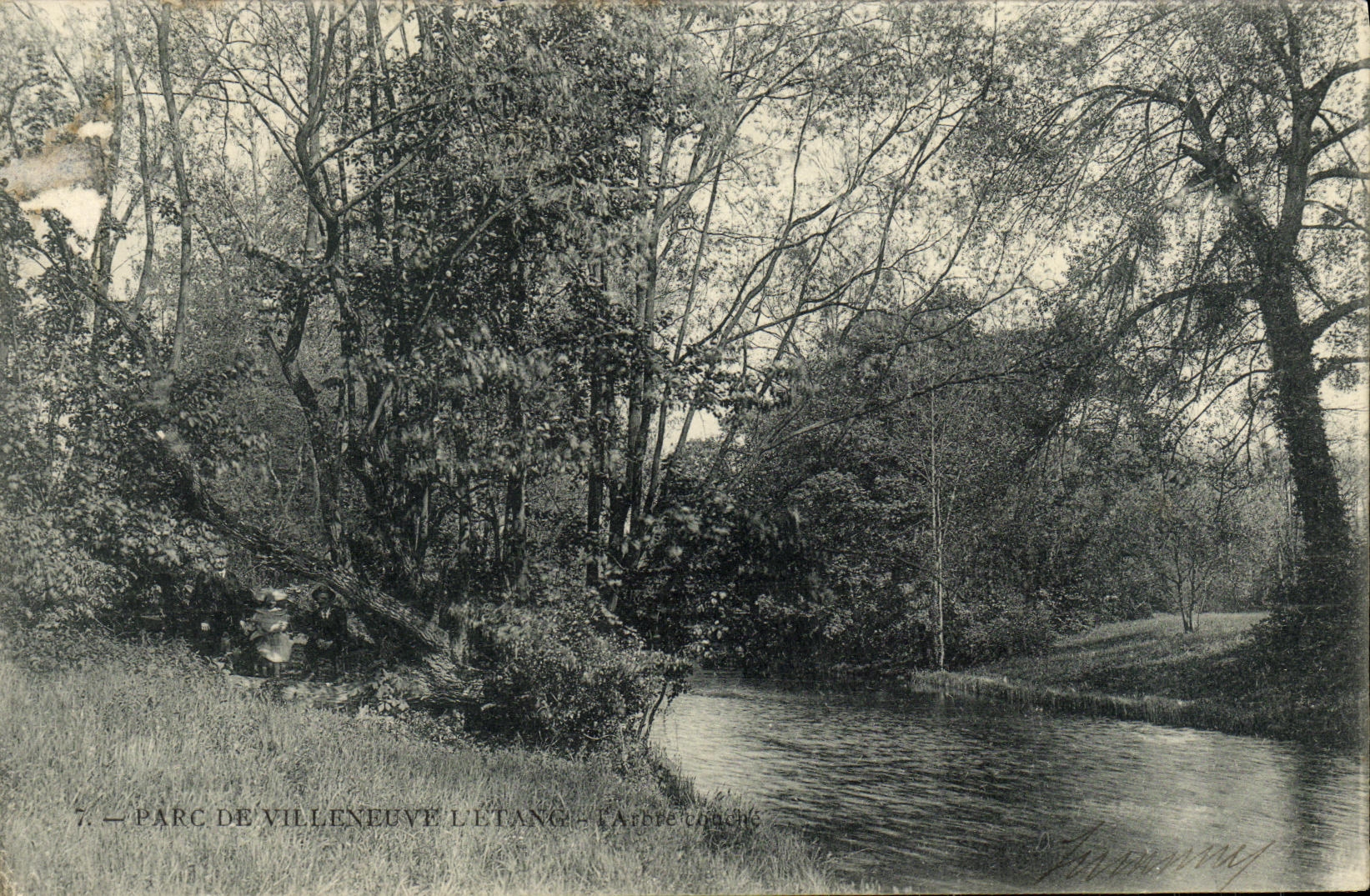 CPA Parc de Villeneuve L arbre couche