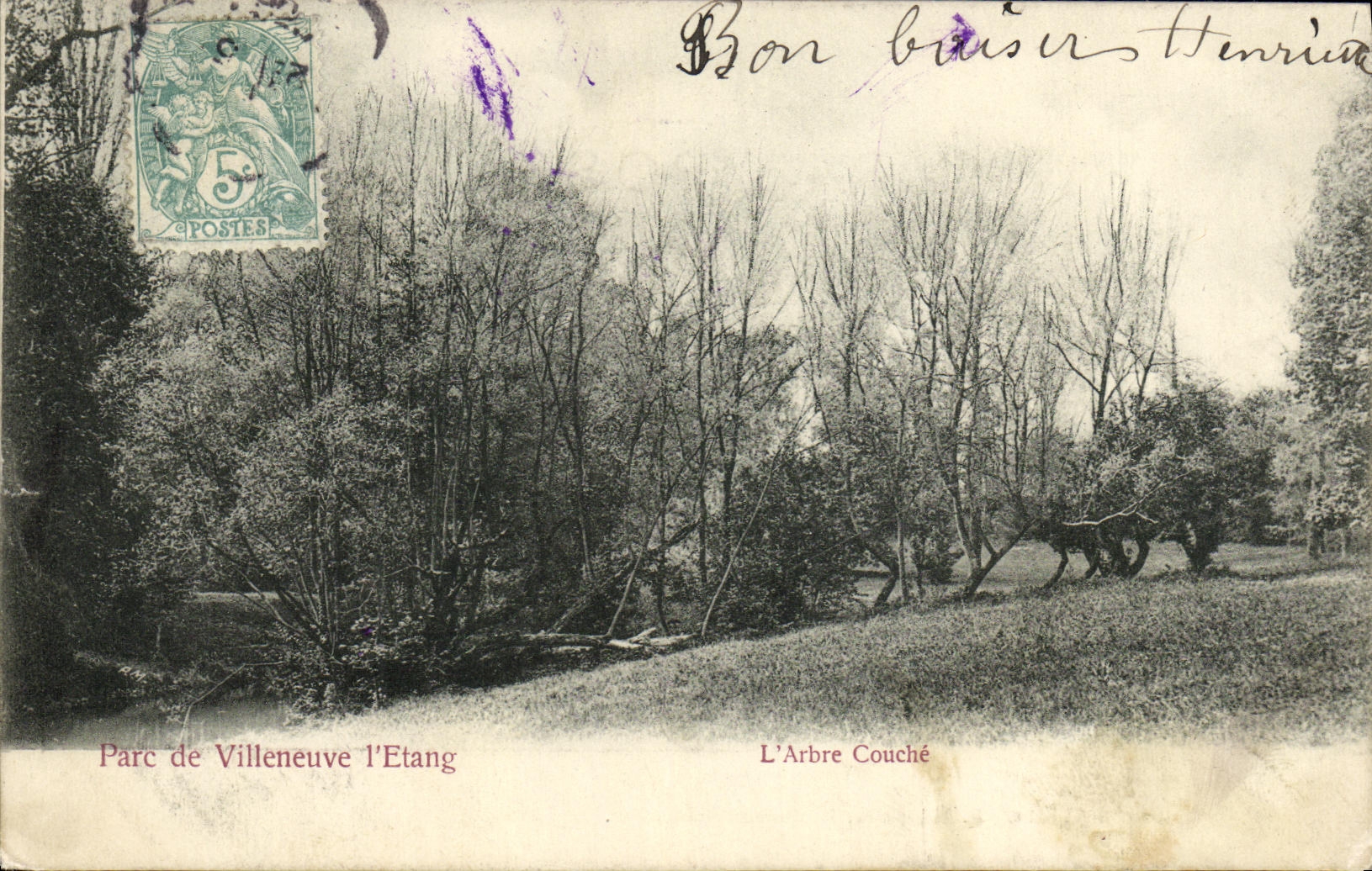 CPA Parc de Villeneuve L Etang L Arbre Couche