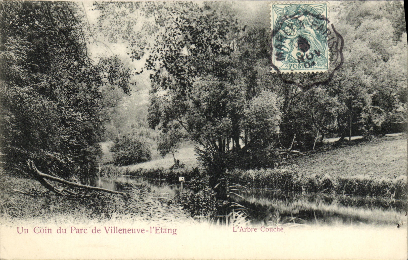 CPA Un Coin du Parc de Villeneuve L Etang L Arbre Couche