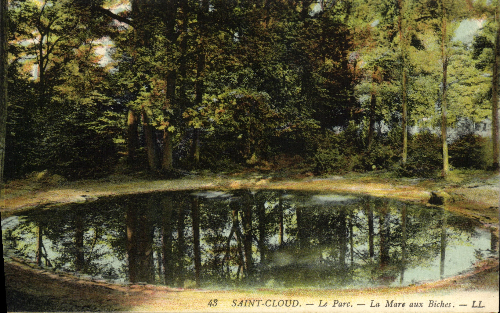 Parque de la POSTAL de la VENDIMIA de nube Saint el parque la charca con el Hinds