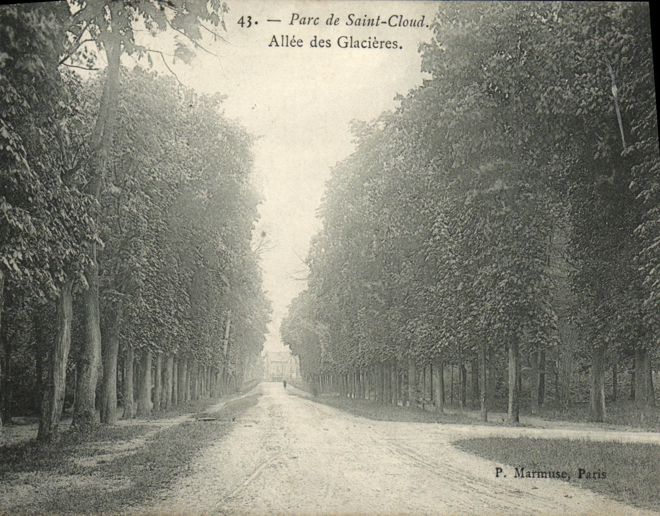 CPA Parc de Saint Cloud Grande Allee des Glacieres