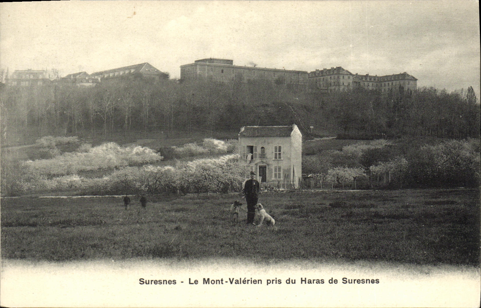 VINTAGE POSTCARD Suresnes the Valerien Mount View Soldier dogs