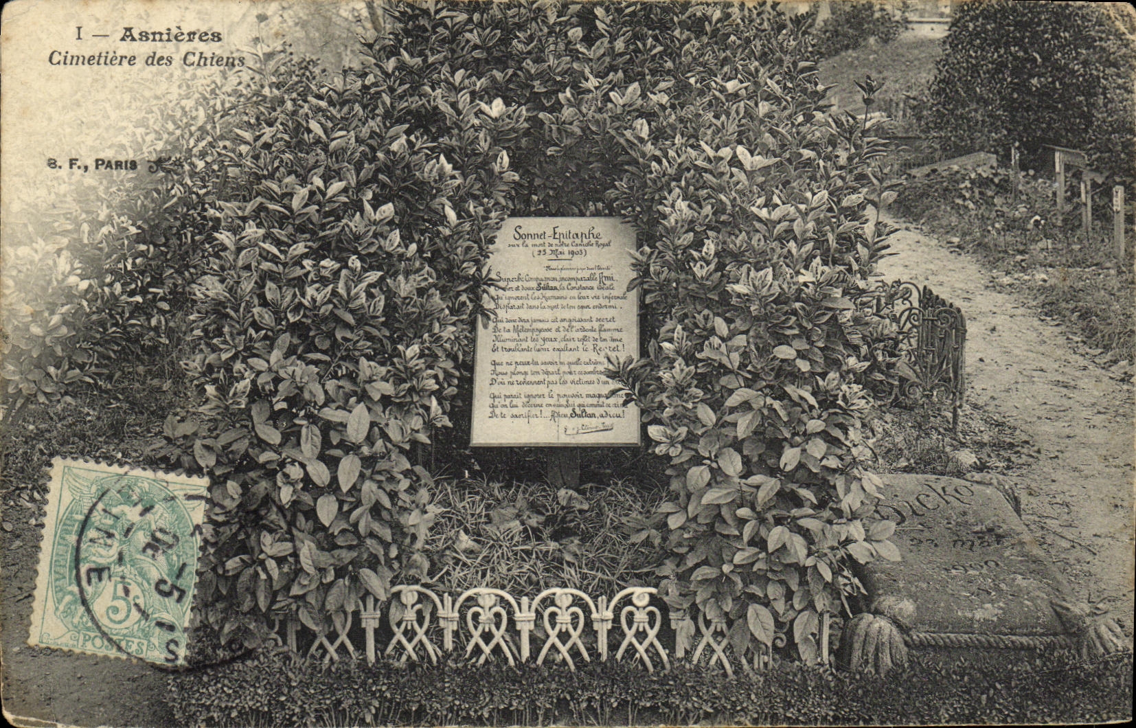 CPA Asnieres Cimetiere des Chiens