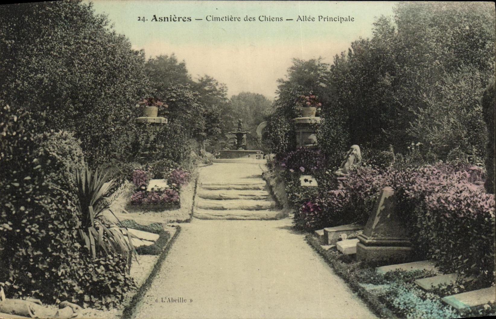 CPA Asnieres Cimetiere des Chiens Allee Principale